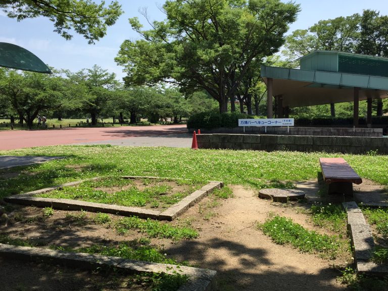 雑草対策としてのクローバーの効果 太陽光発電の株式会社ジオリゾーム 雑草対策としてのクローバーの効果 太陽光発電の株式会社ジオリゾーム